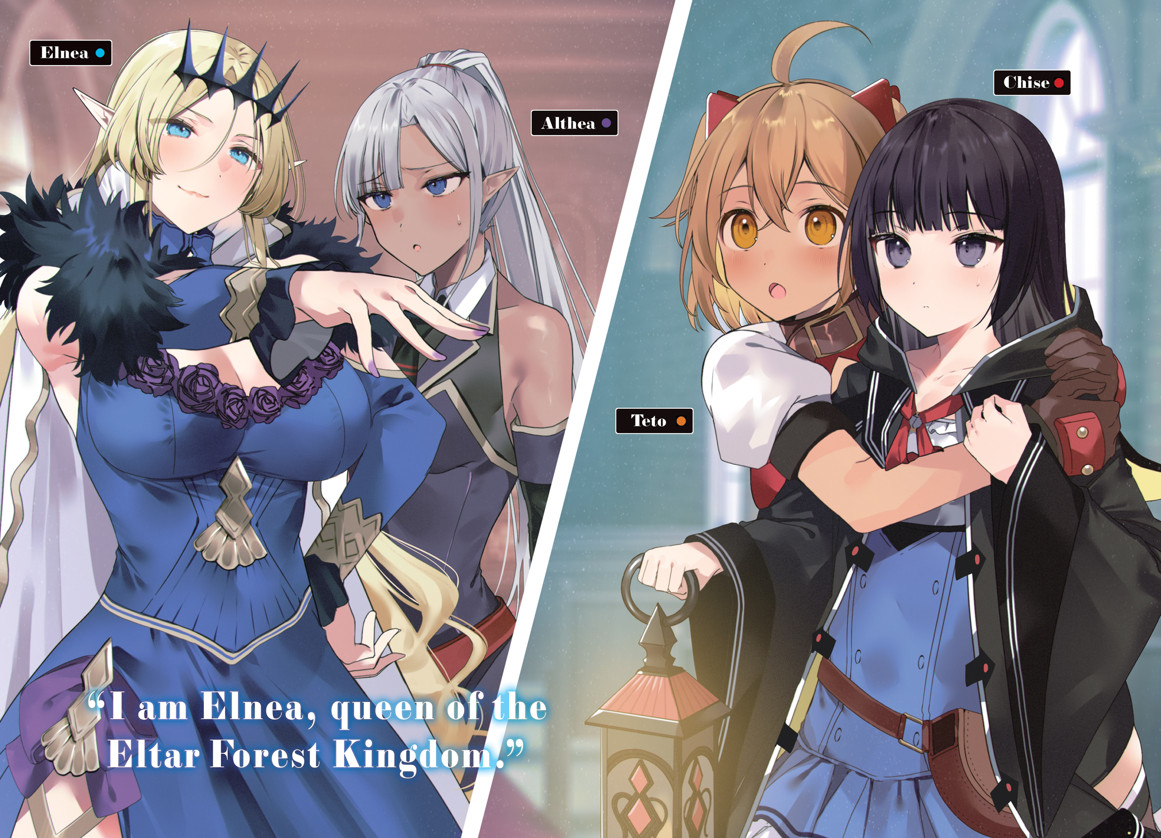 Color Illustrations - 12