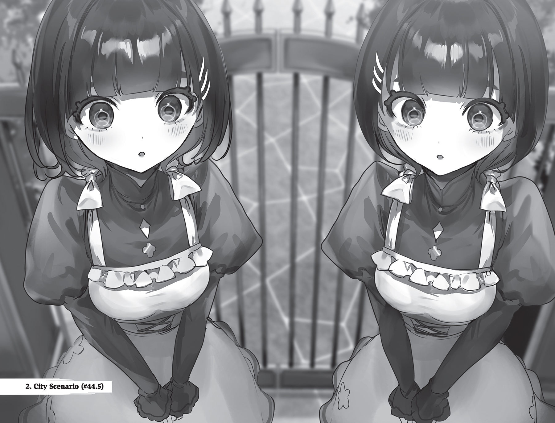 2. City Scenario (#44.5) - 14