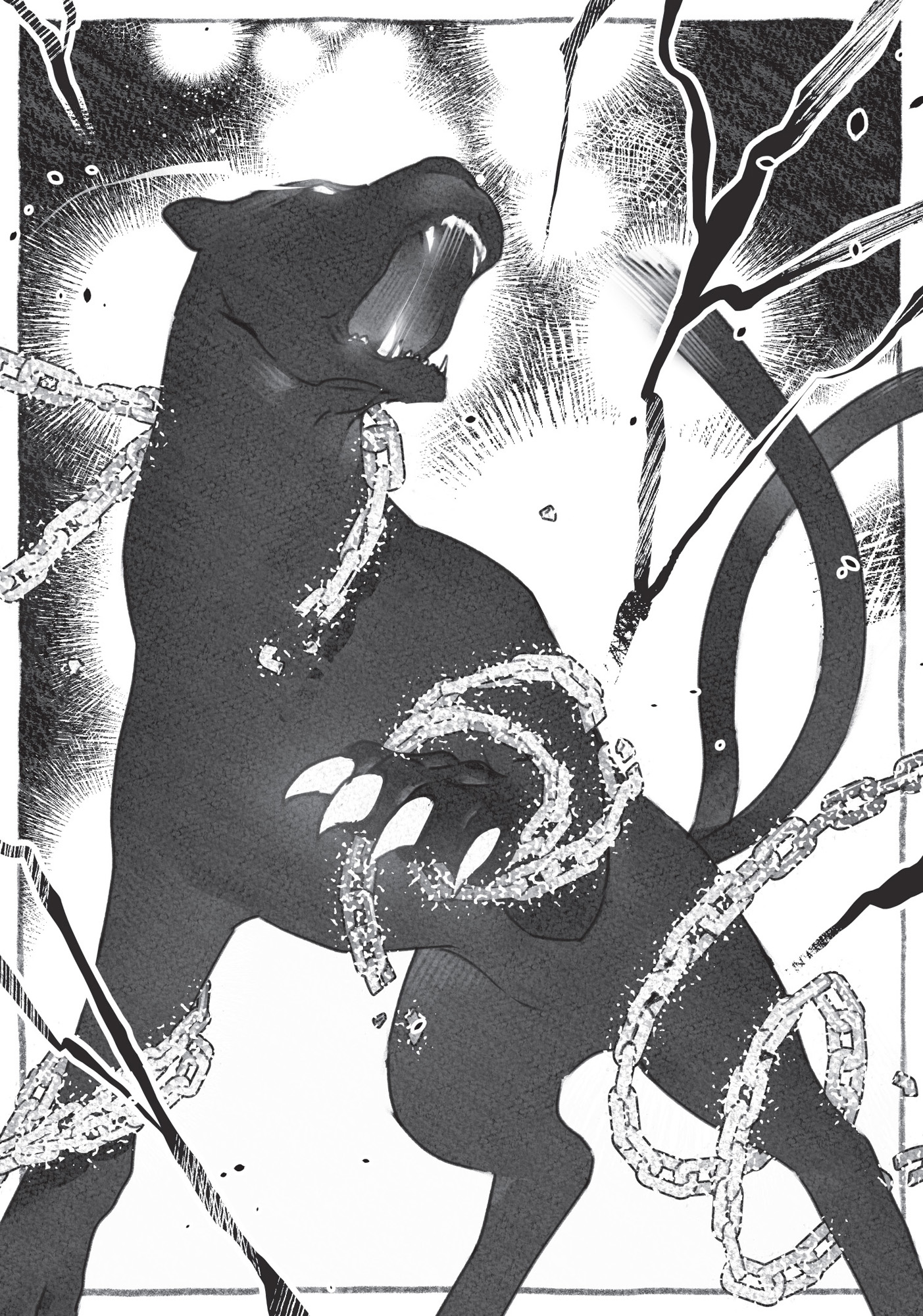 Image - 17