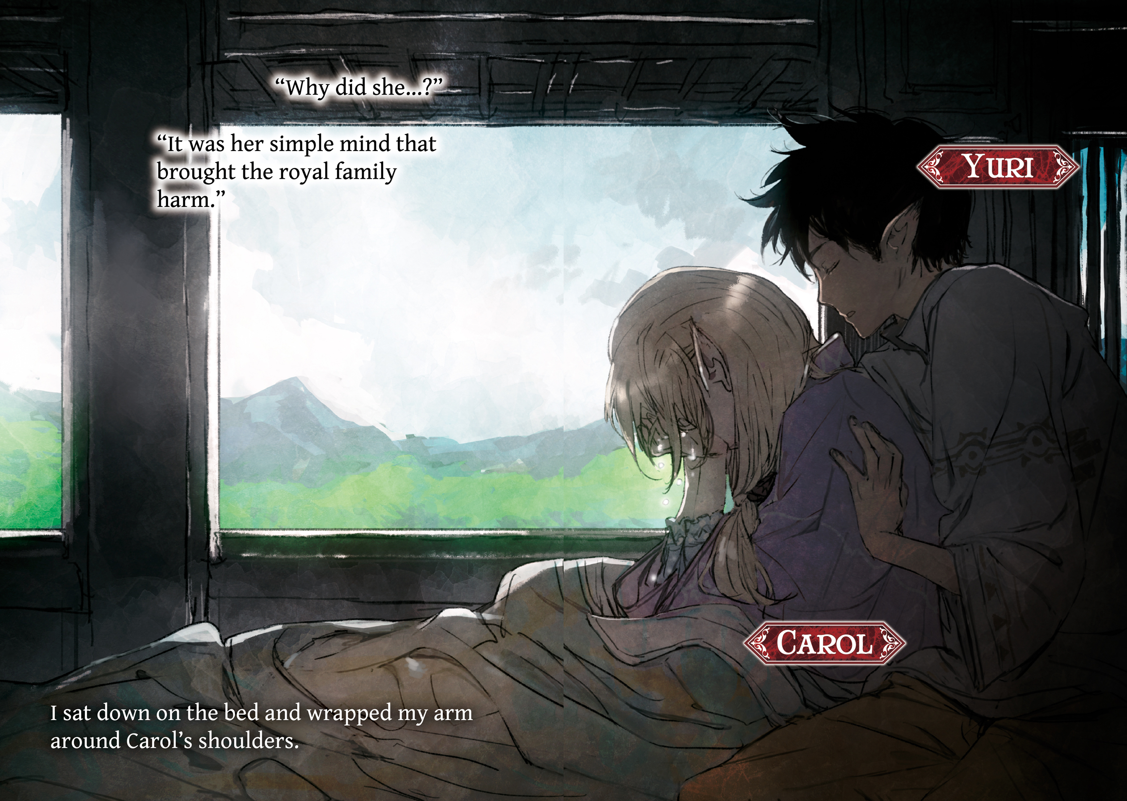 Color Illustrations - 13