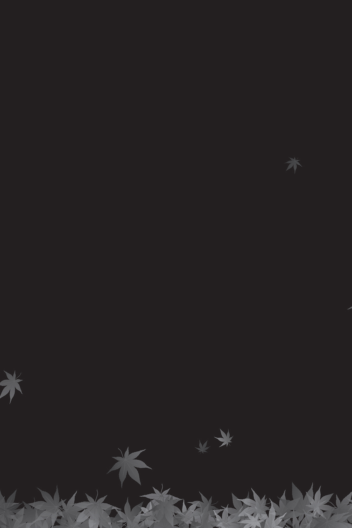 Image - 12
