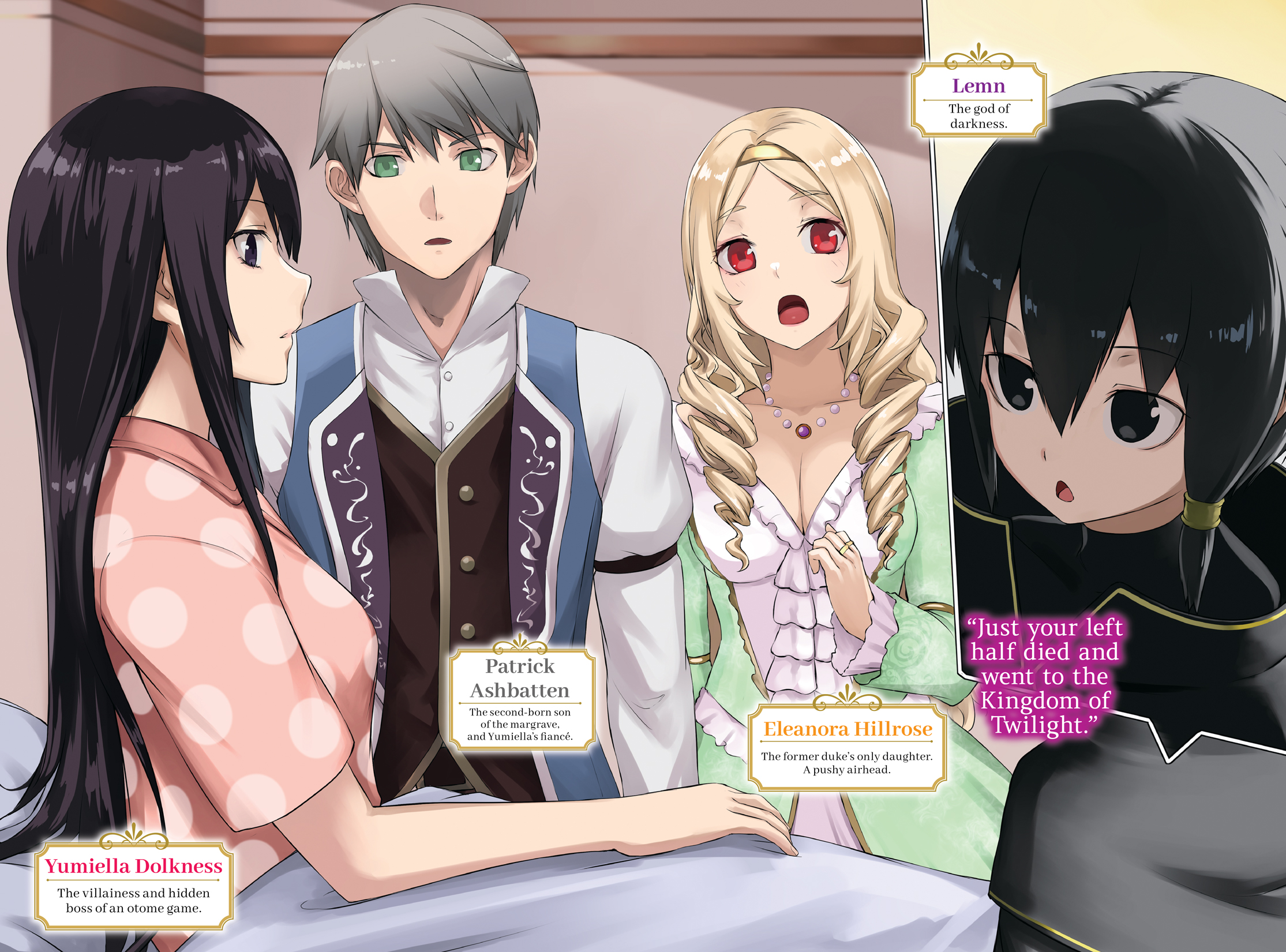 Color Illustrations - 12