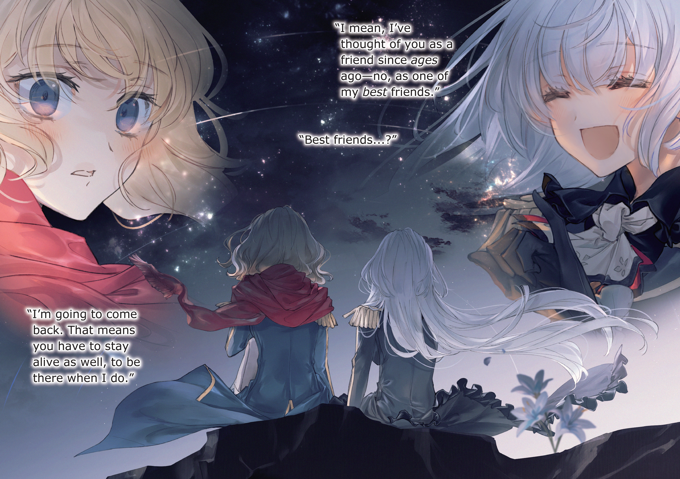 Color Illustrations - 13