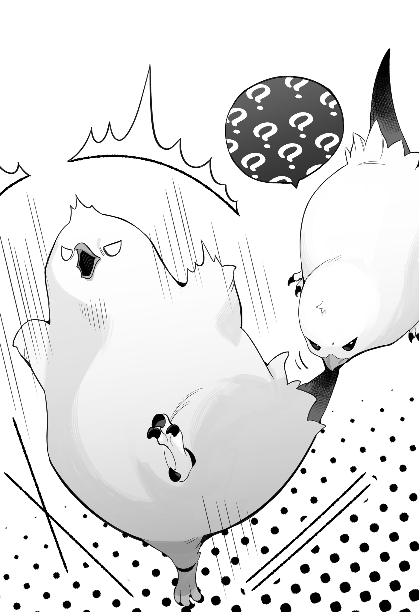 Image - 11