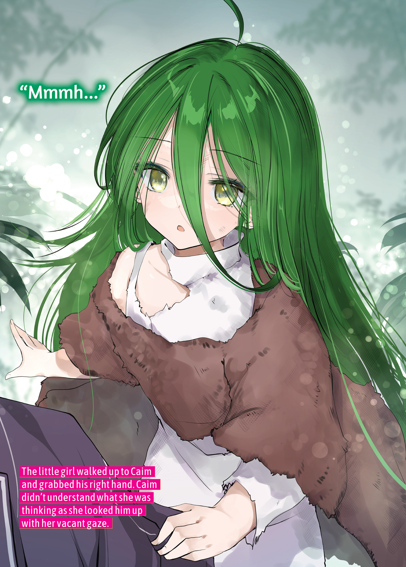 Color Illustrations - 02