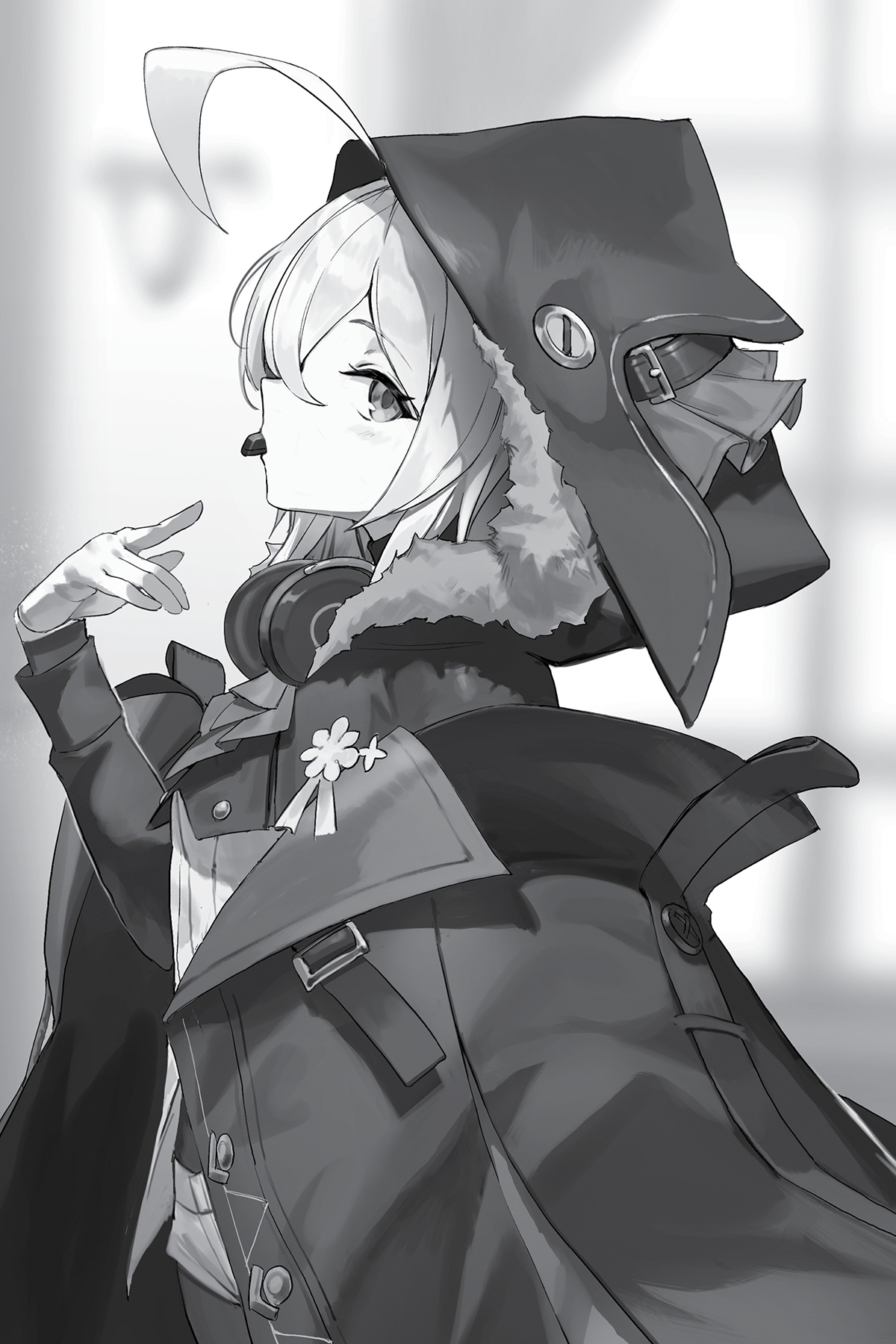 Image - 12