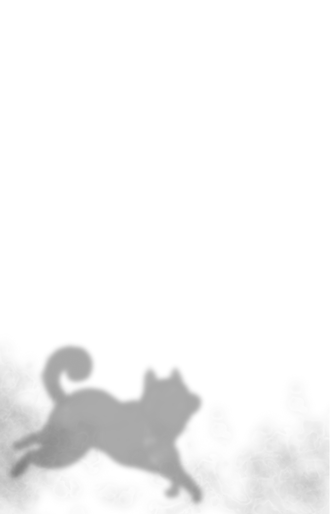 Image - 45
