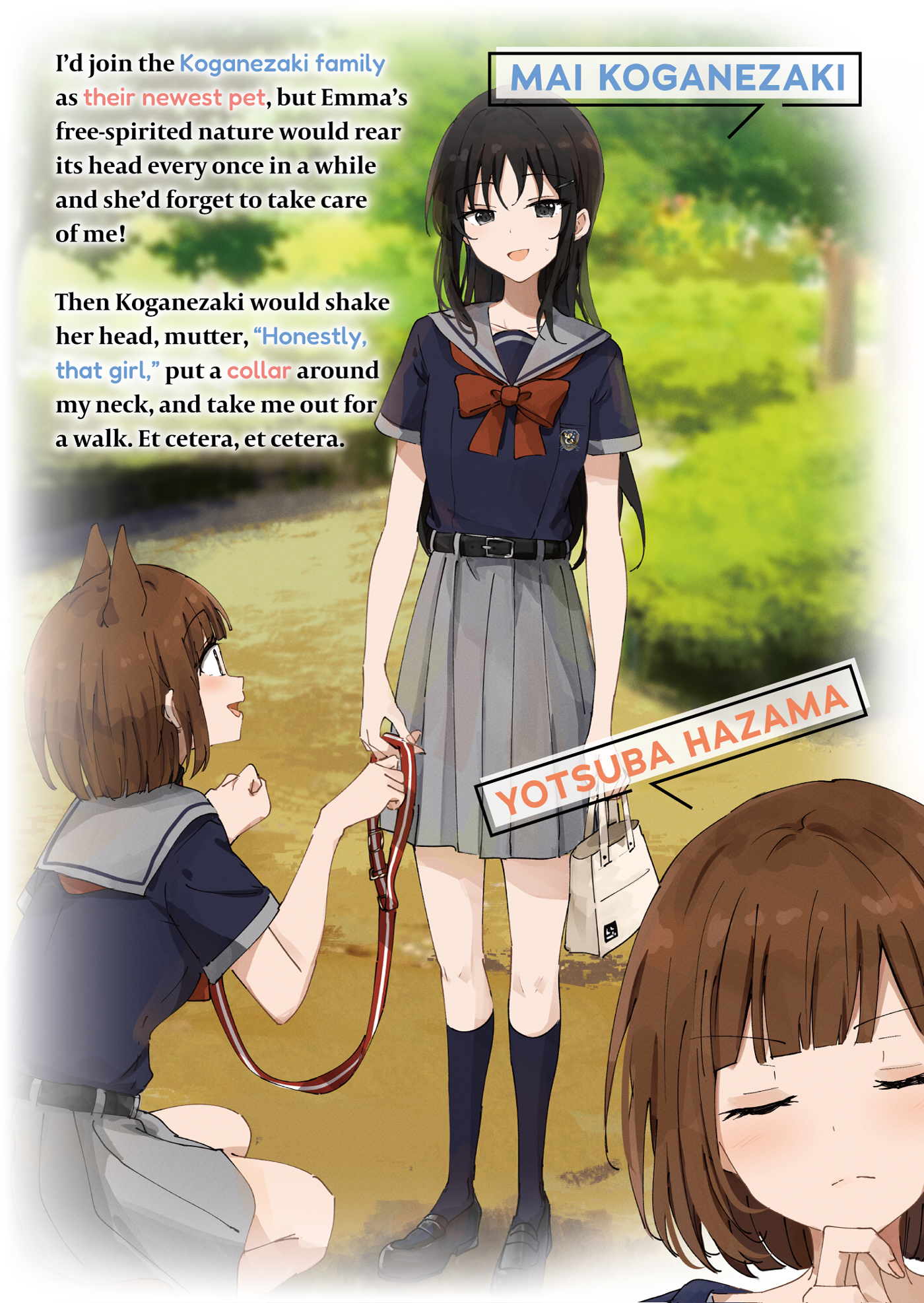 Color Illustrations - 12