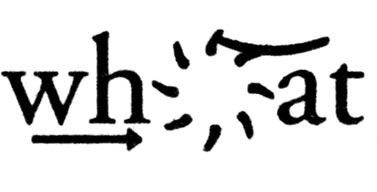 Image - 13