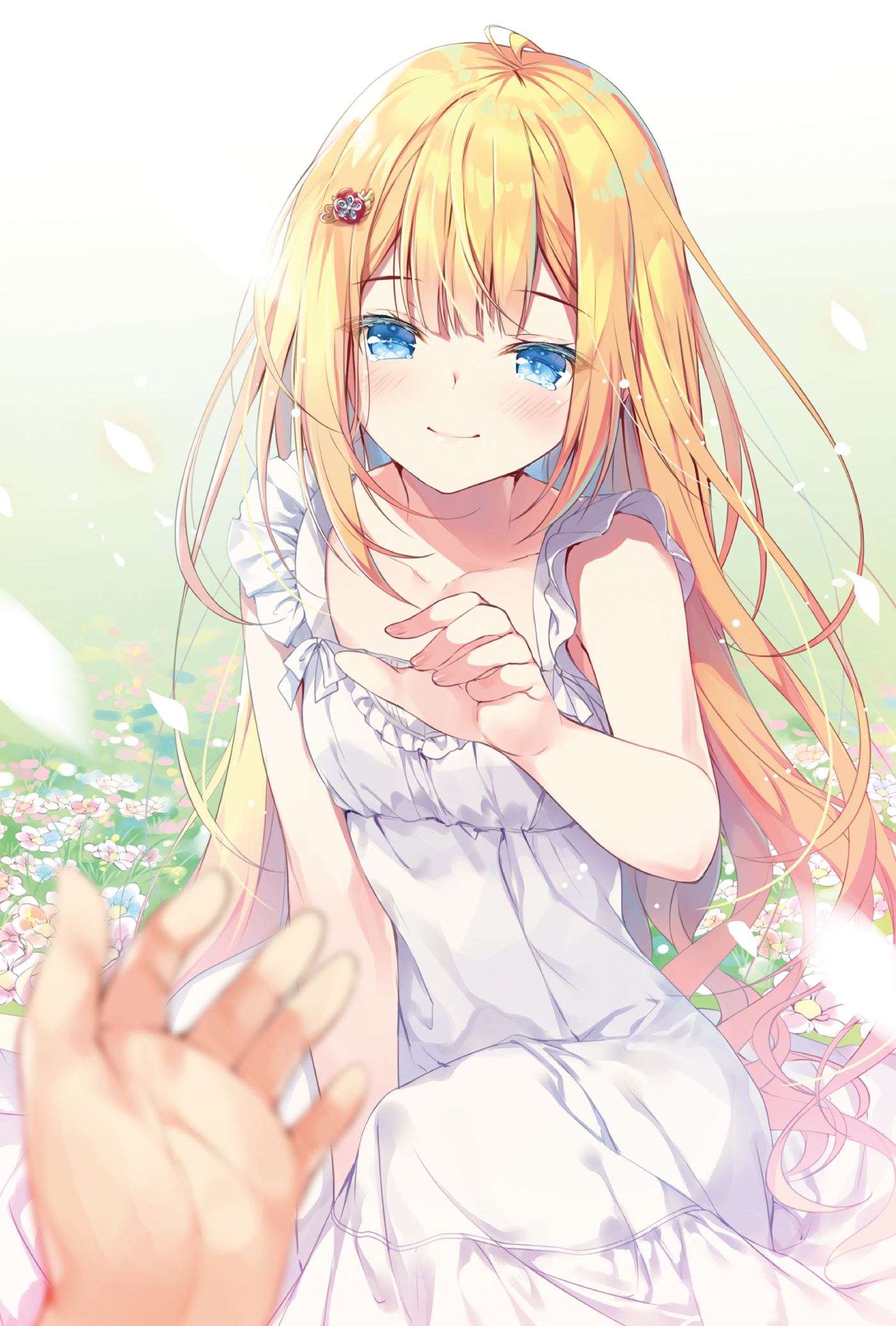 Color Illustrations - 09