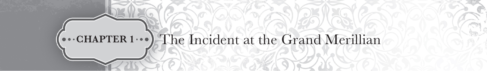 Chapter 1 — The Incident at the Grand Merillian - 10