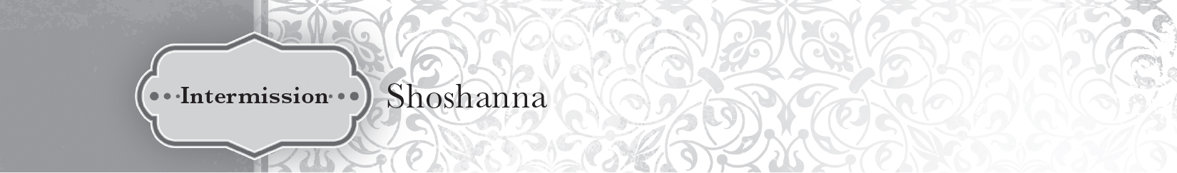 Intermission — Shoshanna - 08
