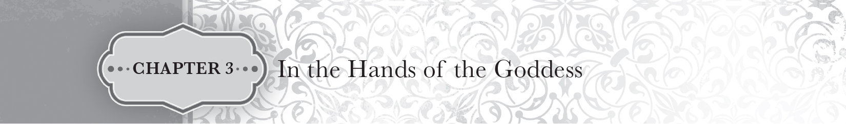 Chapter 3 — In the Hands of the Goddess - 29
