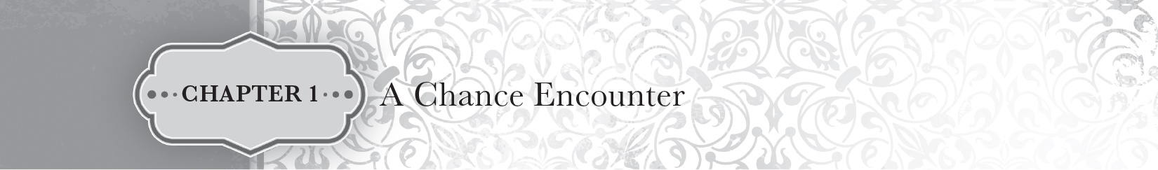 Chapter 1 — A Chance Encounter - 08
