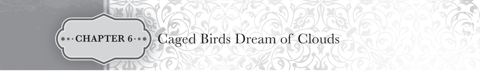 Chapter 6 — Caged Birds Dream of Clouds - 59