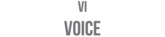 VI. Voice - 20
