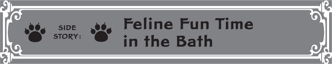 Side Story: Feline Fun Time in the Bath - 81