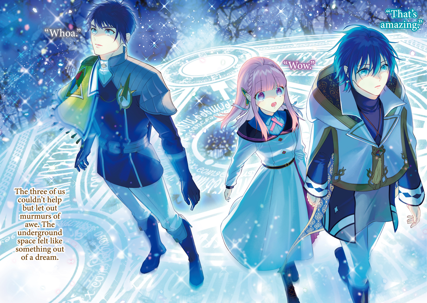 Color Illustrations - 14