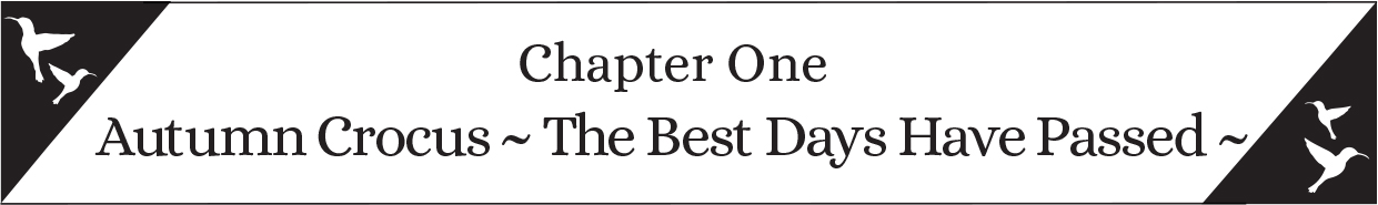 Chapter One: Autumn Crocus ~ The Best Days Have Passed ~ - 09