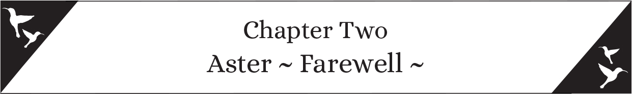Chapter Two: Aster ~ Farewell ~ - 12