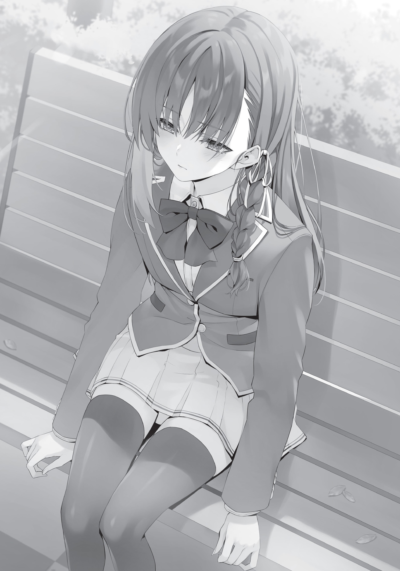 Image - 12