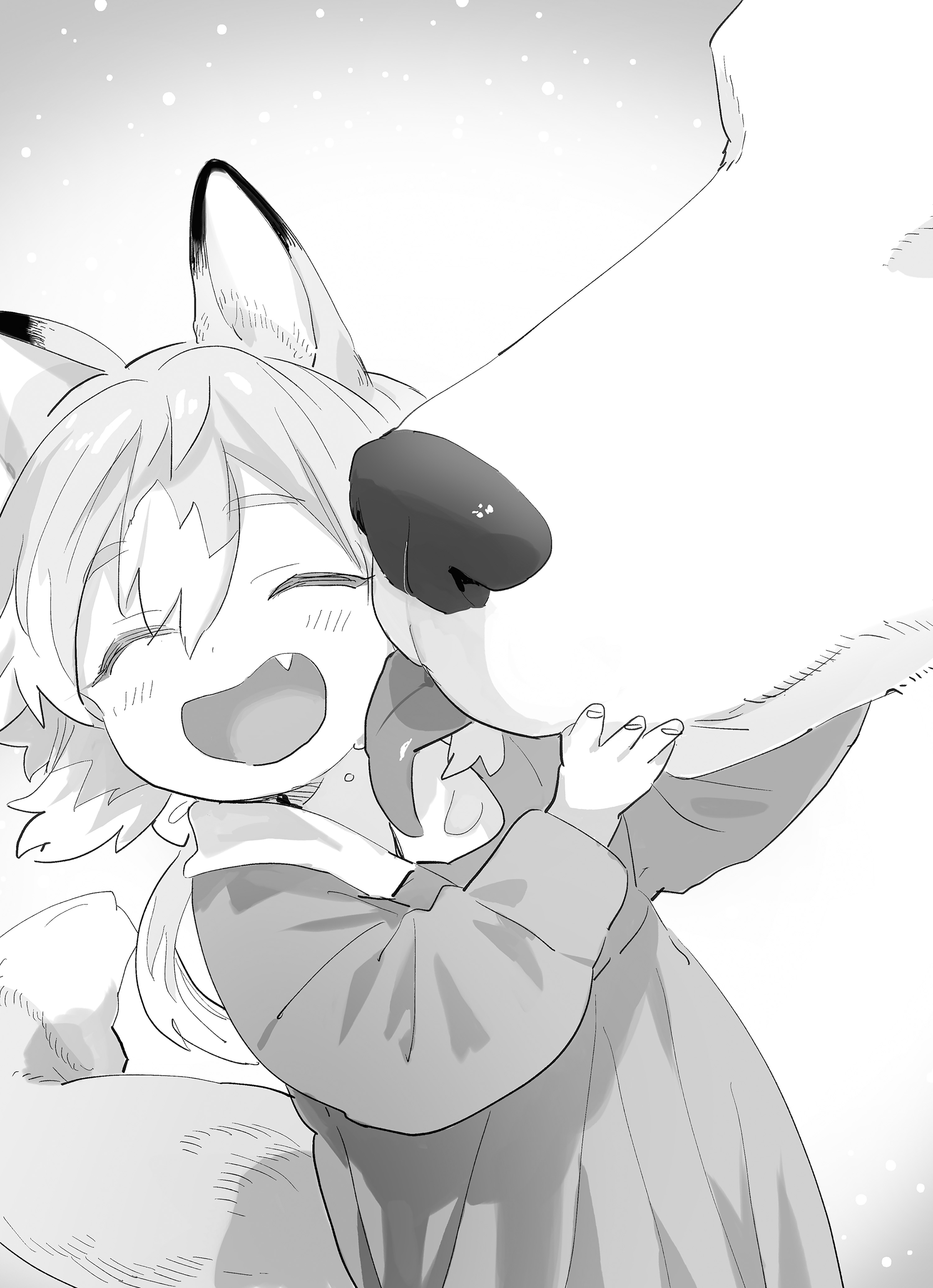 Image - 13