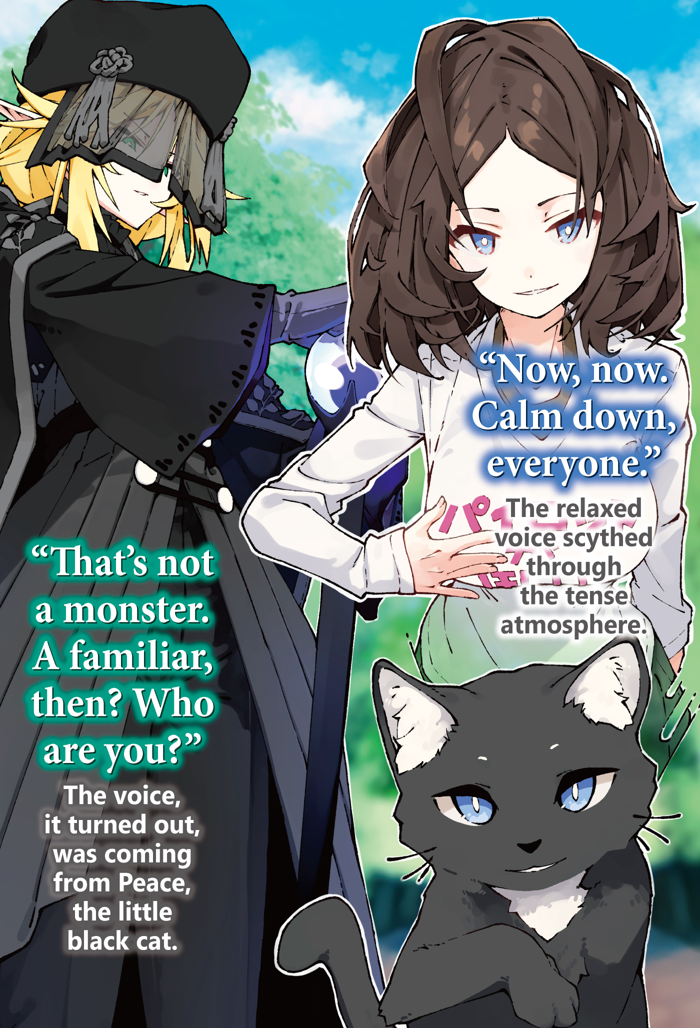 Color Illustrations - 10