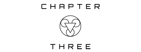 CHAPTER THREE - 21