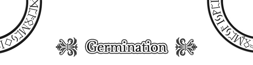 Chapter 4: A Princess’s Love: Trying to Look Good for My Wives but Falling for Another Girl Anyway - 33